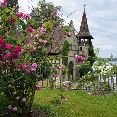 Rosengarten und Phönix.jpeg